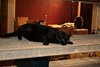 20110207_BBF2011_261