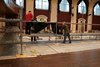 20110207_BBF2011_105